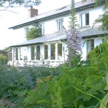 Holworthy Farm, Exmoor - Somerset