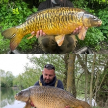 Angling at Little Farriers - South Cerney - Gloucestershire