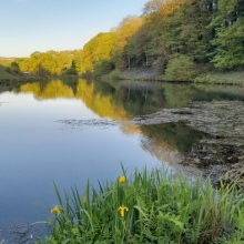 New House Fishery - Totnes Devon