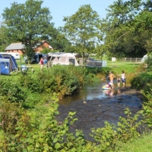 Onsite Coarse Lakes Riverside Camping and Caravan Park - Devon