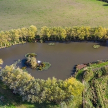 Seymour Fishery Highbridge - Somerset