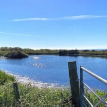 Spring Lakes Campsite & Fisheries Bude - Cornwall