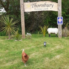 Thornbury Holiday Park, Holsworthy - Devon