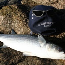 Combe Martin Sea Angling Club