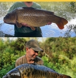 Carp fishing at Ashmead Fishery, Martock - Somerset