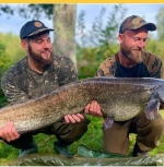 Cat Fish at Milemead Fishery Tavistock - Devon