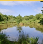 Coarse Fishing at Week farm - Okehampton - Devon