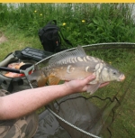 Coarse Fishing at Killock Farm Coarse Fishery, Bude Cornwall