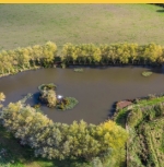 Seymour Fishery Highbridge - Somerset