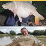 Carp Angling @ Ashmansworthy Pools, Bideford - North Devon