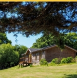 Owl Lodge - Rivermead Cottages, Liskeard - Cornwall