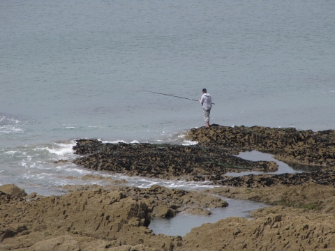 Fishing North Devon &amp; Somerset Coast