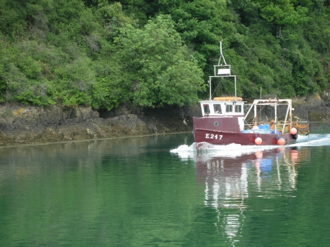 Fishing Boat on River Torridge North Devon