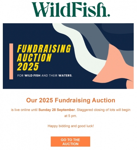 WildFish 2025 Fundraising Auction WildFish 2025 Fundraising Auction